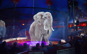 Màn hình chiếu ba chiều có động cơ <span class=keywords><strong>10</strong></span> mét 85% độ trong suốt 3-20m cho sự kiện - Product Image 5