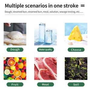 Nieuw Ontwerp YY-1030 Digitaal Display Elektronische Draagbare Ph Meter Baby Complementair Voedsel Ph Tester Kaas Cosmetica Ph Tester - Product Image 5