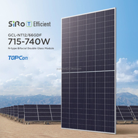 Panel Solar Bifacial de Doble Vidrio GCL NT12/66GDF 695-740W, Módulo Fotovoltaico Monocristalino Tipo N, 132 Celdas, 23.82% de Eficiencia