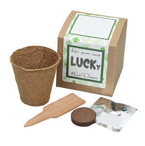 Kit per Coltivazione di Peperoni Piccanti con Logo Personalizzato, Versatile e Rapido, Regalo Promozionale per il Patio, Vendita all'Ingrosso - Product Image 4