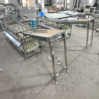 304 RVS Fruit- en Groentesorteermachine, Multifunctioneel, Grote Capaciteit, Tomaten, Aardappelen, Kersen Sorteermachine