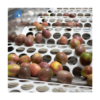 Machine de tri des olives largement utilisée, trieuse de cerises de café, trieuse de cerises, classeur de cerises