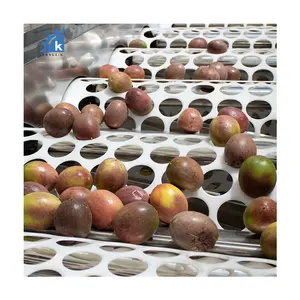 Widely used Olive Fruit Sorting Machine Coffee Cherries Sorter Cherry Grading Grader