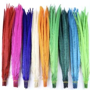 Plumas <span class=keywords><strong>de</strong></span> Faisán Baratas <span class=keywords><strong>de</strong></span> 45-50 cm Teñidas <span class=keywords><strong>de</strong></span> Cola <span class=keywords><strong>de</strong></span> Faisán <span class=keywords><strong>de</strong></span> Collar en <span class=keywords><strong>Venta</strong></span> para Disfraz <span class=keywords><strong>de</strong></span> Carnaval Sexy y Popular - Product Image 5