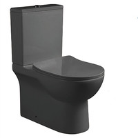 WC en céramique deux pièces à chasse d'eau par lavage, finition gris mat, sanitaires pour salle de bain