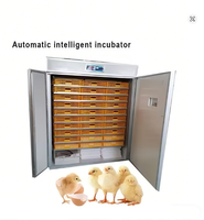 Incubateur d'œufs automatique Farm Use1848 pour poulets, canards, cailles, oies, autruches, éclosion d'œufs 220v, incubateur et machine à éclore pour poulets