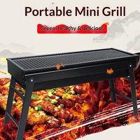 Barbecue portable pliable au charbon de bois pour camping en plein air, sans fumée, en fer, pour pique-niques et plage