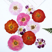 Roses séchées pressées, fleurs séchées naturelles, roses séchées réelles pour la création de bijoux en résine, fournitures pour l'artisanat DIY