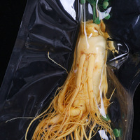 Racine de ginseng Panax de qualité supérieure pour infusion de vin/liqueur, ginseng entier séché, idéal pour la fabrication de vin tonique maison au ginseng