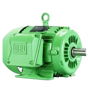 Moteur asynchrone triphasé AC WEG W21 W22 norme IEC 30KW 40KW 5KW 75KW 11KW 15KW 380V 690V+F70 - Product Image 5