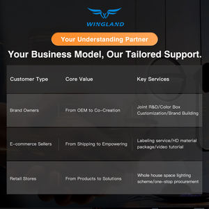 Faretto LED Doppio/Triplo Moderno per Soggiorno, Showroom, Parete di Sfondo, Minimalista in Ferro - Product Image 5