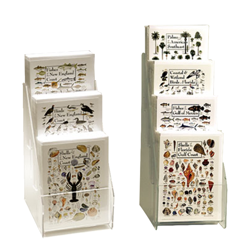 Apache Light Duty Acrylic Countertop Postcard Display Rack Single-Sided for Supermarket Shelves Customizable
