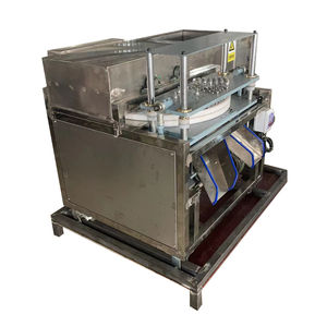 Machine industrielle électrique à dénoyauter les olives avec moteur en acier inoxydable 304, capacité de 250 kg/h - Product Image 2
