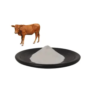 Koscher zertifiziertes bestes Kollagen peptid Kollagen aufhellung Rinder kollagen peptid