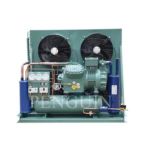 Compresor alternativo hermético de baja temperatura frío al aire libre Unidad de condensación del congelador refrigerado por aire