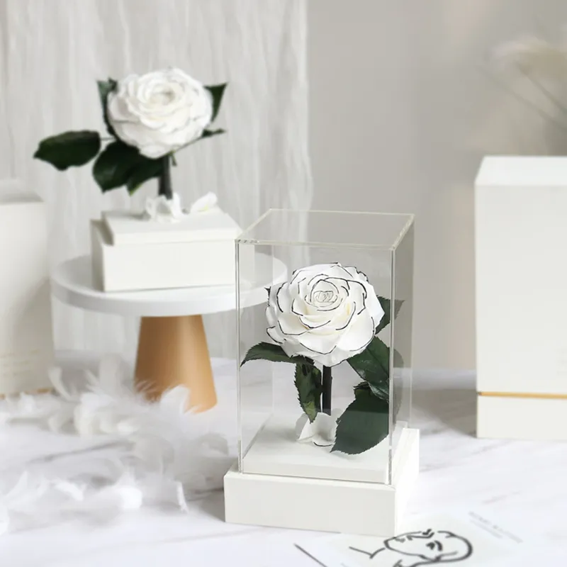 Hot Sale Creative Preserved Rose Flowers Real Touch Rose Acrylic Gift Box For Valentine's Day Wedding Gift