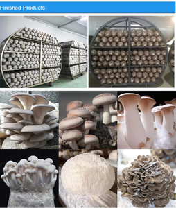 Satrise Mushroom Autoclave Esterilizador Calefacción eléctrica con vapor para esterilización de alta temperatura y alta presión - Product Image 3