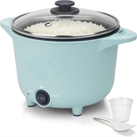 Mini-cuiseur à riz domestique 2 tasses (avant cuisson) / 4 tasses (après cuisson), mini-marmite électrique, cuiseur vapeur à riz, double mode, portion individuelle