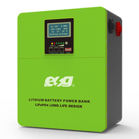 ESG Lithium Iron Phosphate Battery, Lifepo4, 24V, 48V