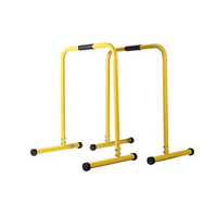 Station de gymnastique japonaise, barres parallèles, pour entraînement de Fitness, avec barres de trempage