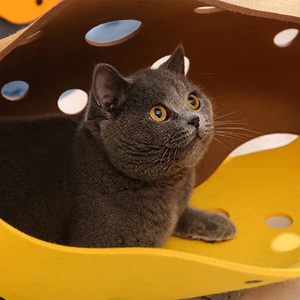 Cama de túnel para gatos, cama plegable de tubo para mascotas con agujeros, alfombrilla de juego para gatos DIY, alfombra de actividad, juguete para tela de fieltro interactiva/para ejercicio - Product Image 4