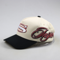 2024 sesuaikan Logo Anda sendiri topi Trucker bisbol katun 6-Panel Logo Patch bordir Gorras Wanita Pria topi modis memancing