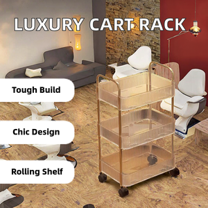 Modern Mobile Salon <b>Trolley</b> Acrylic <b>4</b>-<b>Wheel</b> Storage Cart for Living Room Luxury Cosmetics Shampoo Holder - Product Image 3