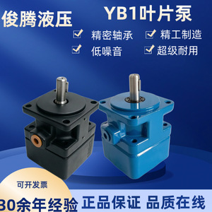 Starcore Yb1 Hydraulic Pump 2.5-200 Fixed Displacement Vane Pump For Low Medium Pressure Grinding <b>Sawing</b> Machines - Product Image 2