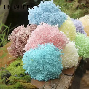 Factory Wholesale Home Decor Real Natural Wedding Flower Stem Preserved Hydrangea