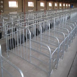 Caja <span class=keywords><strong>de</strong></span> gestación galvanizada duradera para equipo <span class=keywords><strong>de</strong></span> granja, barra <span class=keywords><strong>de</strong></span> posicionamiento <span class=keywords><strong>de</strong></span> Sow - Product Image 5