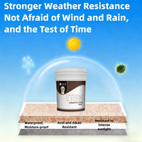 Apprêt transparent acrylique premium ETERNI EX-SL 001 pour peinture murale extérieure, revêtement liquide granitique, application par pulvérisation