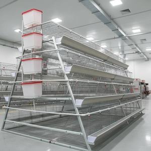 Cage à poulets de chair de type H, cage à poules pondeuses, cage à <span class=keywords><strong>poussins</strong></span>, cages à coqs, Gallinero, Jaula Para Gallos - Product Image 5