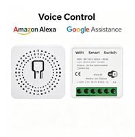 Mini interrupteur intelligent Tuya 16A, adaptateur marche/arrêt 2 voies, relais de commande vocale, minuterie compatible avec Alexa Google Home Smart Life