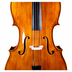 Estudante profissional 4/4 - 1/8 Violoncelo Prática Madeira maciça Violoncelo (C003) - Product Image 2