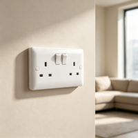 Interrupteur mural double prise de commande électrique pour installation domestique, vente en gros, usine OEM