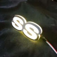 Emblème lumineux 12V en acrylique et LED pour décoration automobile, neuf, écologique, pour rénovation/mise à niveau – Approvisionnement direct usine