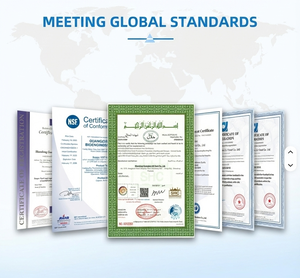 Suplemen Daya Tahan & Pendukung Otot, Kapsul Vitamin Pengatur Energi 60 Kapsul, Pelepasan Cepat, Pasokan Pabrik OEM - Product Image 6