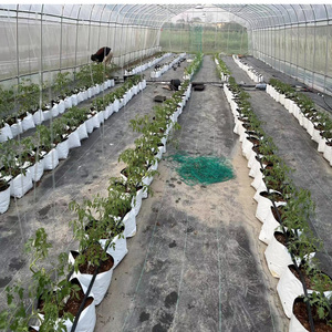 Sac de culture PE en promotion – Inodore, anti-UV, anti-oxydation – Pots de serre pour légumes – Sacs de plantation personnalisés - Product Image 2
