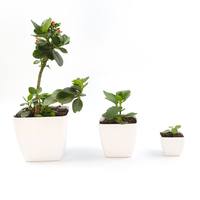 Yicai Décoration minimaliste moderne Petits pots et jardinières carrés Pot de fleurs d'extérieur