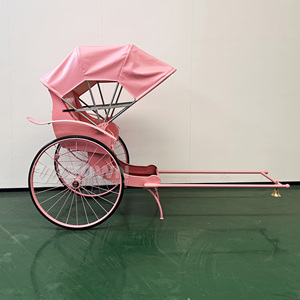 All'ingrosso il vecchio stile risciò carrozza cavallo nuovo arrivo 2 ruote risciò a basso prezzo a buon mercato 2 posti a Pedicab risciò - Product Image 3