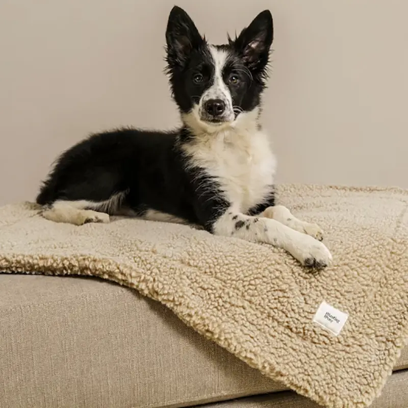 Sleepy Dog Blanket Warmly Pet Dog Cat Pad Mat Benutzer definierte Baumwoll pelz decke für Hunde