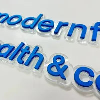 Lettres lumineuses LED professionnelles pour façades architecturales, enseignes d'éclairage de bâtiments à grande échelle, identification d'entreprise, signalétique automobile