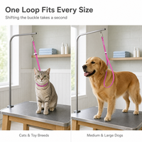 ALFAPET AP-8119 Boucle de fixation en silicone pour toilettage canin et attache de table avec boucle réglable, anti-emmêlement, étanche