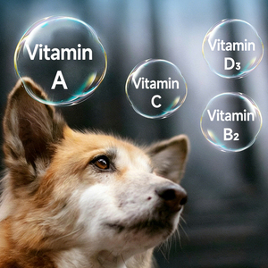 Customizable Adult <strong>Dog</strong> <strong>Food</strong> Multiple Flavors &amp; Shapes Adjustable Protein Content Low Price China Wholesale Pet <strong>Food</strong> - Product Image 4