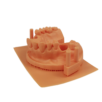 Service d'impression 3D dentaire en métal Peek de résine de Nylon personnalisé professionnel de haute précision DLP/SLS/SLM/SLA/FDM