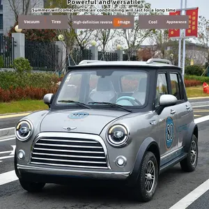 Nuovo Veicolo Elettrico a Quattro Ruote 4X2 per Uso Domestico, Trasporto Adulti, Donne e Bambini, Altezza Massima di <span class=keywords><strong>Lavoro</strong></span> 1650mm - Product Image 2