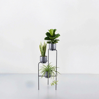 Support de plante en fer écologique et minimaliste moderne finition enduite de poudre pour le jardin présentoir multifonctionnel d'herbes succulentes