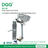DGG Fusible d'expulsion personnalisé en caoutchouc silicone pour coupure de porcelaine, approvisionnement mondial pour banques de condensateurs et protection PT