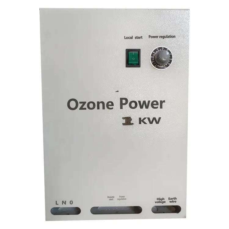 100G Zwembad Water Koeling Ozon Generator Met Onderdelen Medische Ozon Generator Machine