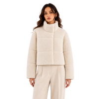 Veste Courte Femme en Fausse Fourrure Polaire Sherpa, Col Rabattu, Style Doudoune, Chaude pour l'Hiver, Vente en Gros OEM